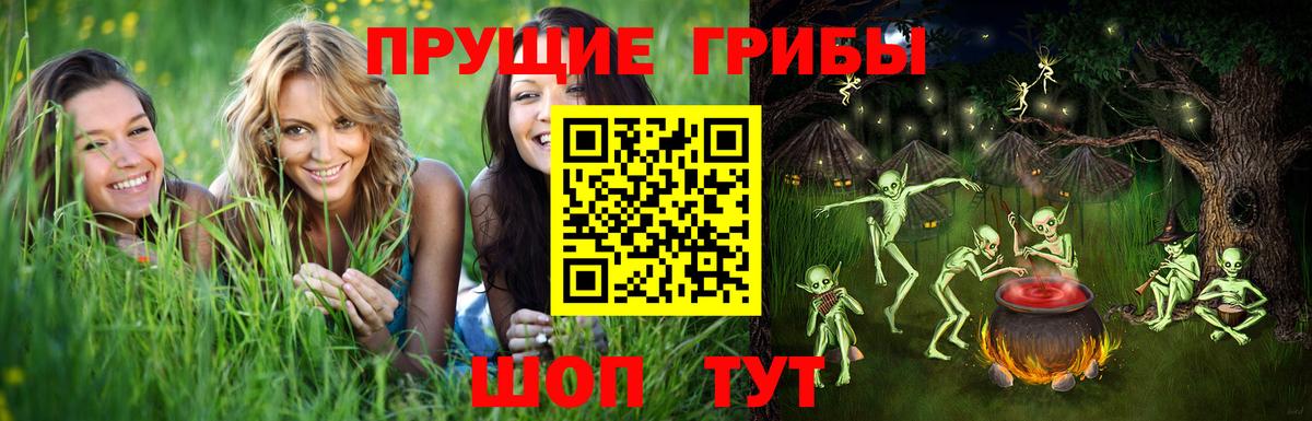 Пугачёв  Галлюциногенные грибы прущие грибы  Вход с VPN 