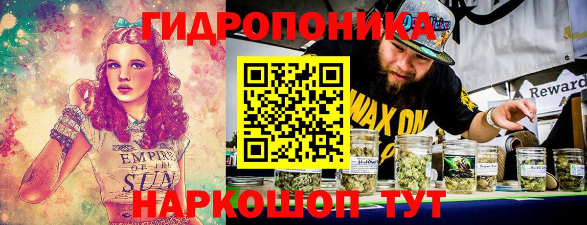 Шишки марихуана гибрид  Вход с VPN  Пугачёв  Каннабис Amnesia  Бошки Шишки марихуана  Марихуана план 